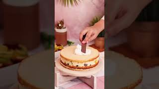 Fruit Custard Trifle Pudding Cake  Eggless Pudding Cake [upl. by Stafani]