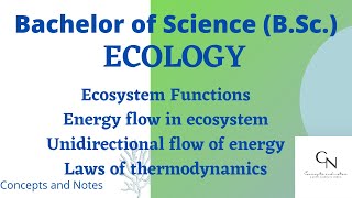 Energy flow in ecosystem  Ecosystem functions  laws of thermodynamics  For BSc students [upl. by Jacquenette]