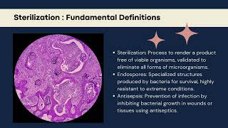 Exploring Sterilization Processes 1 [upl. by Arimaj]