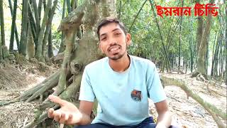 তোমারে লেগেছে এতো যে ভালো  tomare legeche eto je bhalo  New song 2025  Imran TV Gabrol [upl. by Sivie]