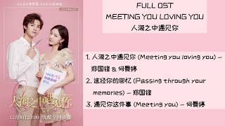 FULL OST Meeting you loving you 2021  人海之中遇见你 [upl. by Giefer124]