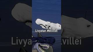 Wait what does Livyatan have in common with this white whale [upl. by Hertberg966]