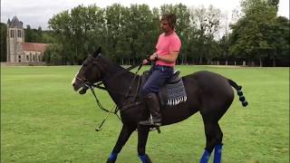 Tips de Polo de Pepe Riglos 10 11 y 12 [upl. by Namaj]