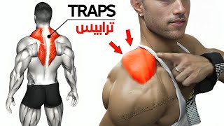 9 BEST EXERCISE TRAPEZIUS WORKOUT 🔥 [upl. by Rebmyk928]