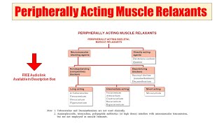 25 Peripherally Acting Muscle Relaxant  Skeletal Muscle Relaxants  Audio Classification of Drugs [upl. by Lulita632]