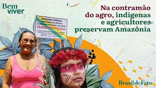 Na contramão do agro indígenas e agricultores preservam Amazônia  Bem Viver [upl. by Goldfinch]