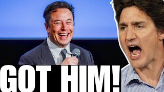 Elon Musk ROASTS Justin Trudeau on X [upl. by Raquela]