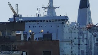 ZUPPA DEL CORSO GNV GRANDI NAVI VELOCI [upl. by Maillw188]