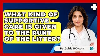 What Kind of Supportive Care Is Given to the Runt of the Litter  PetGuide360com [upl. by Oivatco]