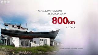 BBC News 22 12 2014 A closer look at the scale of the 2004 tsunami [upl. by Lennej]