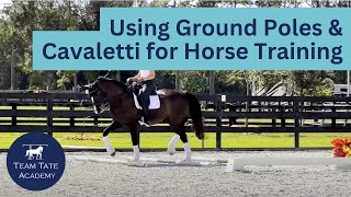 Using Ground Poles amp Cavaletti for Horse Training [upl. by Whitnell]