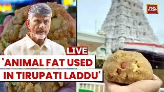 Tirupati Laddu Row LIVE  Tirupati Temple Sets Up Panel To Examine Ghee Quality  India Today LIVE [upl. by Ocinom]