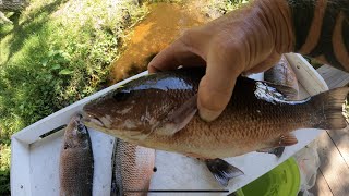 CHUMMING FOR SNAPPER IN SEBASTIAN INLET [upl. by Annayr956]