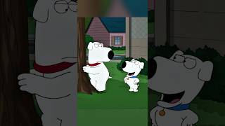 Brian Was Thrown Out Onto The Street familyguy funny shorts [upl. by Jorrie122]