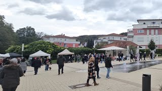 Antikmarkt beim 27 Gradierwerkfest in Bad Orb 2024 [upl. by Bolling]