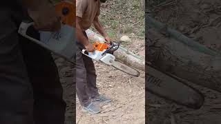 Stihl chainsaw woodcutter ms382 sthilms382 chainsaw stihl wood powertool treecutting 1million [upl. by Icaj787]