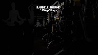 BARBELL SHRUGS  150kg5reps  shrugs bodybuildingmotivation viralshorts [upl. by Torry]