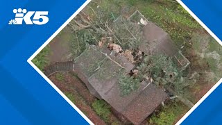 Fallen tree splits Kingston family home in half during bomb cyclone [upl. by Ecirtnas63]