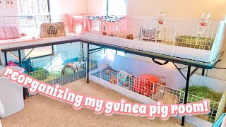 REORGANIZING MY GUINEA PIG ROOM AGAIN [upl. by Iveel619]