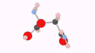 asparagine [upl. by Notwal378]