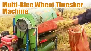 MultiFunctional Rice and Wheat Thresher  HighEfficiency Grain Harvestingrice wheat thresher [upl. by Doroteya]