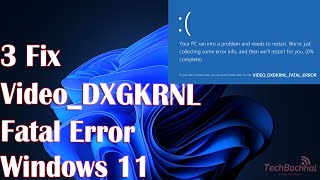 3 Fix Video Dxgkrnl Fatal Error on Windows 11 [upl. by Elene645]