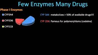 Phase II Metabolism  Pharmacology Lect 8 [upl. by Sorazal]