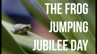 The Frog Jumping Jubilee Day Hopping into Fun and Frolics [upl. by Nevarc]