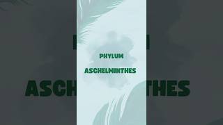 Phylum quotASCHELMINTHESquot Animal KingdomBiology biology class11 neet trending [upl. by Bovill228]