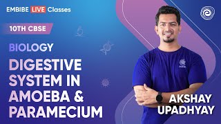 Digestive System In Amoeba amp Paramecium  Biology  Class 10 CBSE  Akshay Upadhyay [upl. by Anyg]