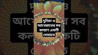 দুনিয়া ও আখেরাতের কল্যাণ ইস্তেগফার islamicstatus mizanurrahmanazhari islamictiktok surahyase [upl. by Diantha]