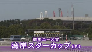 【湾岸スターカップ P】 2024 517 名古屋競馬場 優勝馬フォルツァエフ号 [upl. by Annaed]