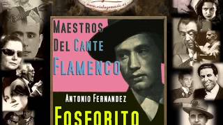 Fosforito  Celos Hasta del AireFandango de Lucena Zángano y Verdial Flamenco Masters [upl. by Hoisch]