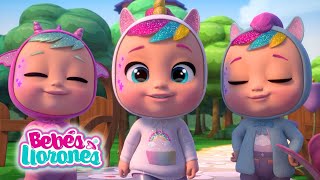 BEBÉS LLORONES 💦 LÁGRIMAS MÁGICAS 💕 CAPITULOS y Episodios 😍 Completos para NIÑOS en español [upl. by Sitnalta561]