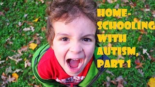 Homeschooling a Child with Autism Part 1 [upl. by Karab]