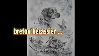 Breton Bécassier [upl. by Nileek390]