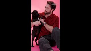 Stop what you’re doing and go watch it now 🐶🐾 AaronTaylorJohnson pupculturerescue2497 [upl. by Alameda]