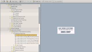 SAP Profit Center Planning [upl. by Cranford]