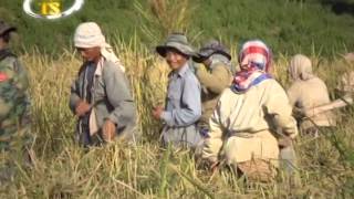 ຄຳພູ ທະວີວັນ ເສັ້ນທາງຊີວິດ Senh thang xeevit Vocal By KhumPhou ThaVivan [upl. by Ashlie248]