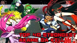 Top 40 Strongest Akame ga Kill Characters [upl. by Ikin799]