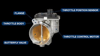 Throttle Body Not Working Symptoms P2101 code fix [upl. by Mathis]