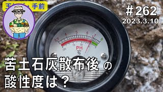 玉ねぎの灰色腐敗病が発生、苦土石灰を散布した後の土壌酸性度を確認する。 262話 【オーガニック栽培】 [upl. by Pacificia]