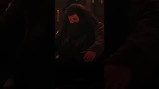 Hagrid and harry😔 music harrpotter potterhead hogwarts [upl. by Mencher]