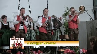 Lustige Steirer  Wildbach Trio in St Peter  Freienstein am 05032016 [upl. by Wertheimer]