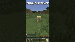 Opening lucky blocks in 2024 minecraft luckyblock fyp [upl. by Ydollem308]