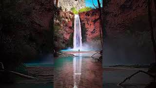 Swimming in Havasu Falls would be a dream come true 😍travel havasufalls shorts [upl. by Gnat878]