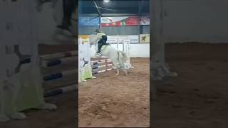 😍😊 showjumping capcut worldofshowjumping horseenthusiast [upl. by Whorton]