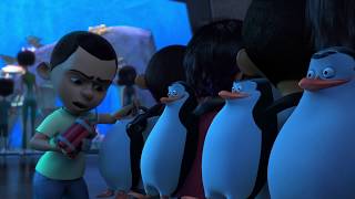 Madagascar en Español Latino  Pingüinos de fama mundial  Clip de Los Pingüinos de Madagascar [upl. by Naquin]