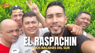 Los Bacanes del Sur  El Raspachin Video Oficial [upl. by Malaspina]