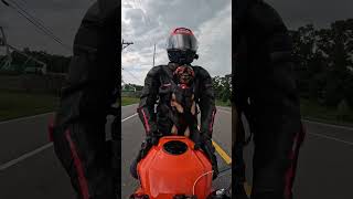 Georgia weather Thankfully we were 5 min from the house 😅 dog motorcycle doglover motovlog [upl. by Otilia]